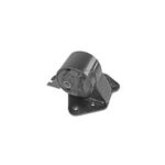 قاعدة فتيس​